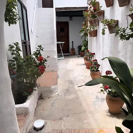 Casa Louna Apartment *